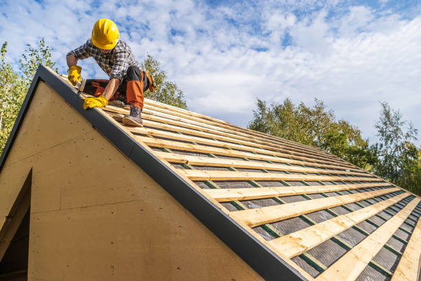 Roof Gutter Cleaning in Rogersville, MO